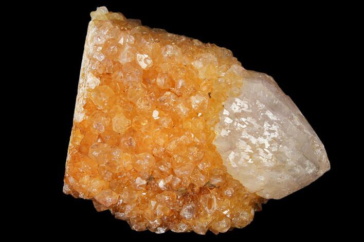 Sunshine Cactus Quartz Crystal - South Africa #122309